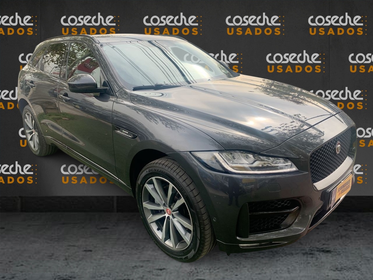 JAGUAR