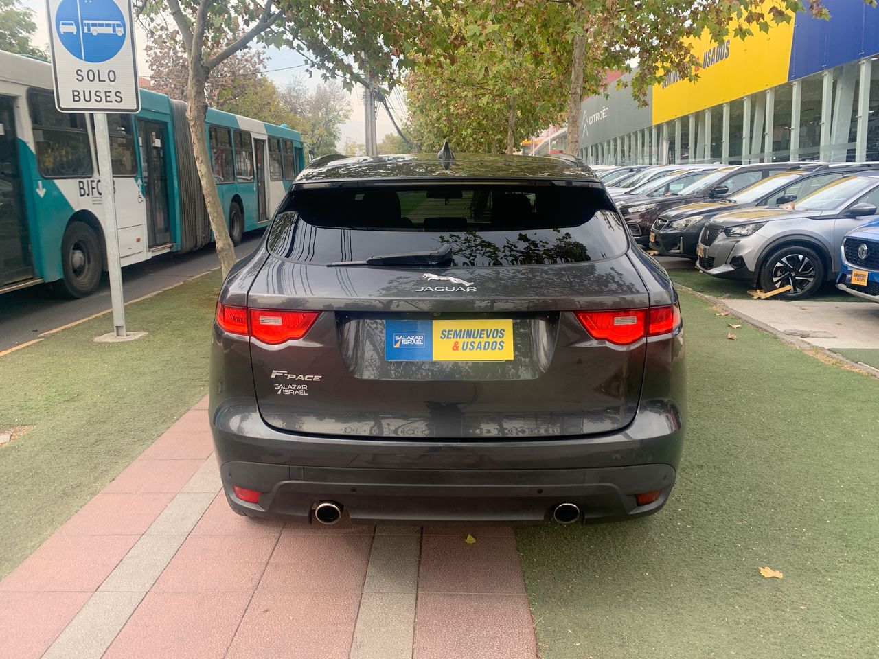 JAGUAR - 6