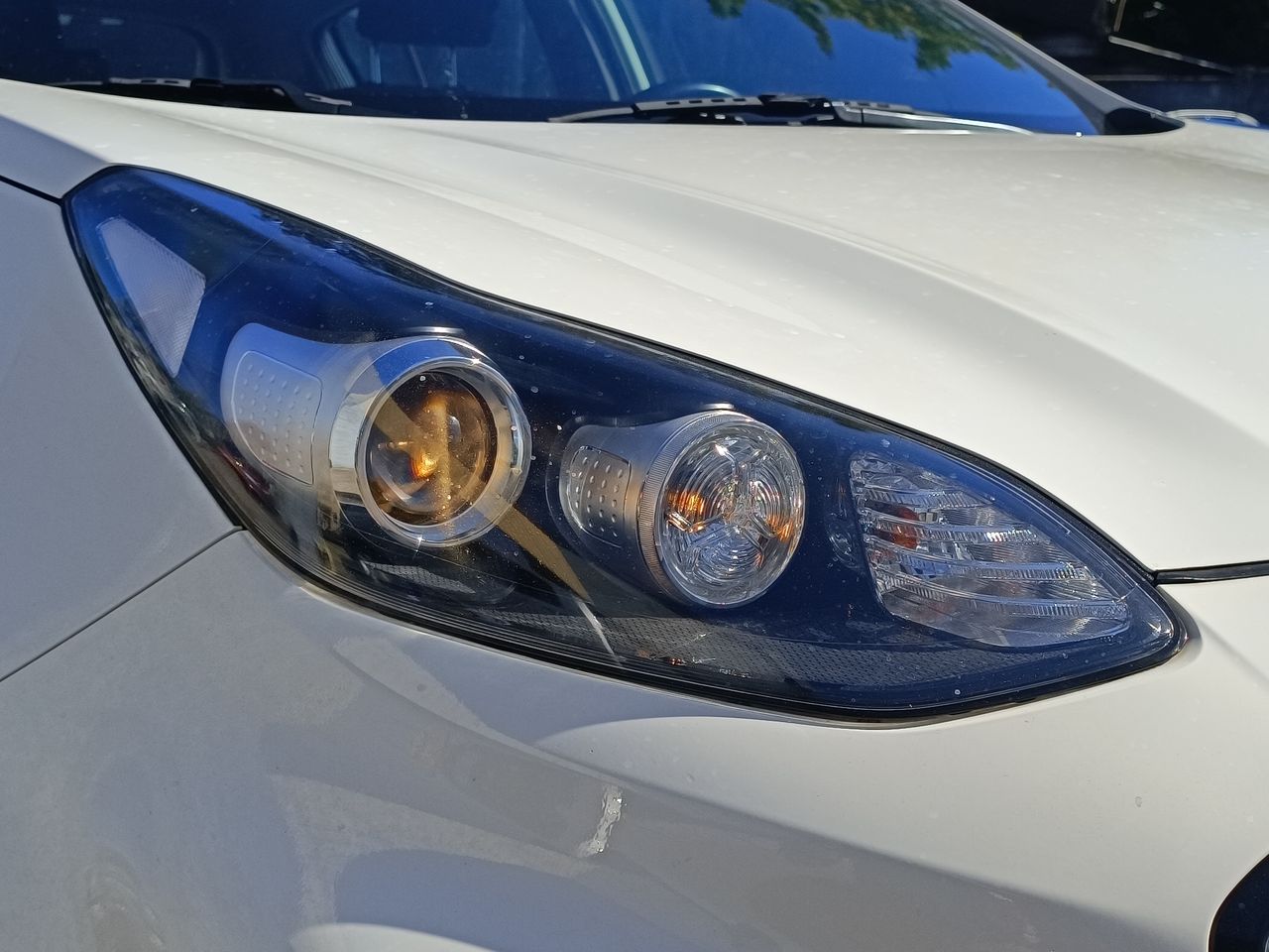 KIA - 19