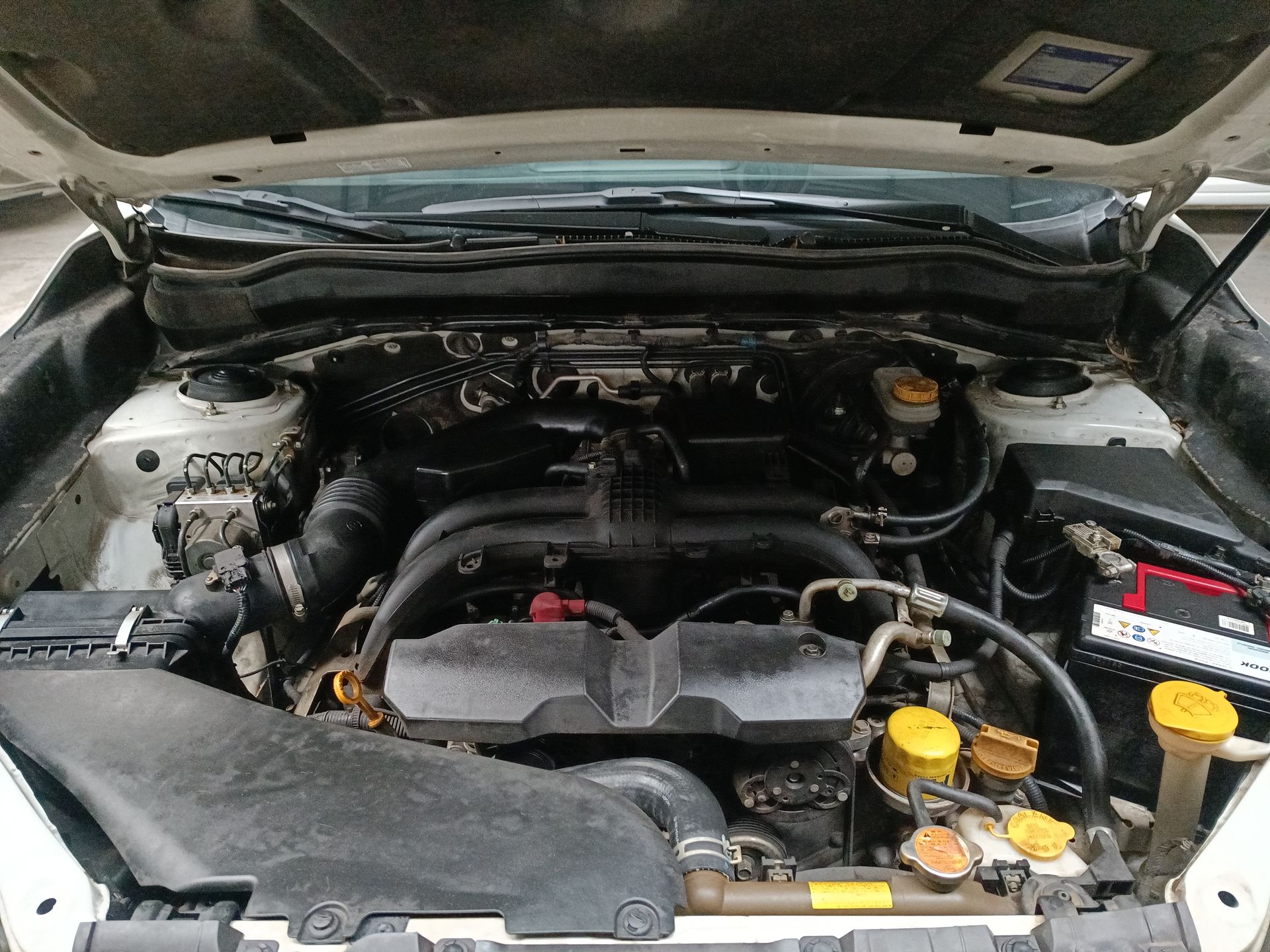 SUBARU - 31
