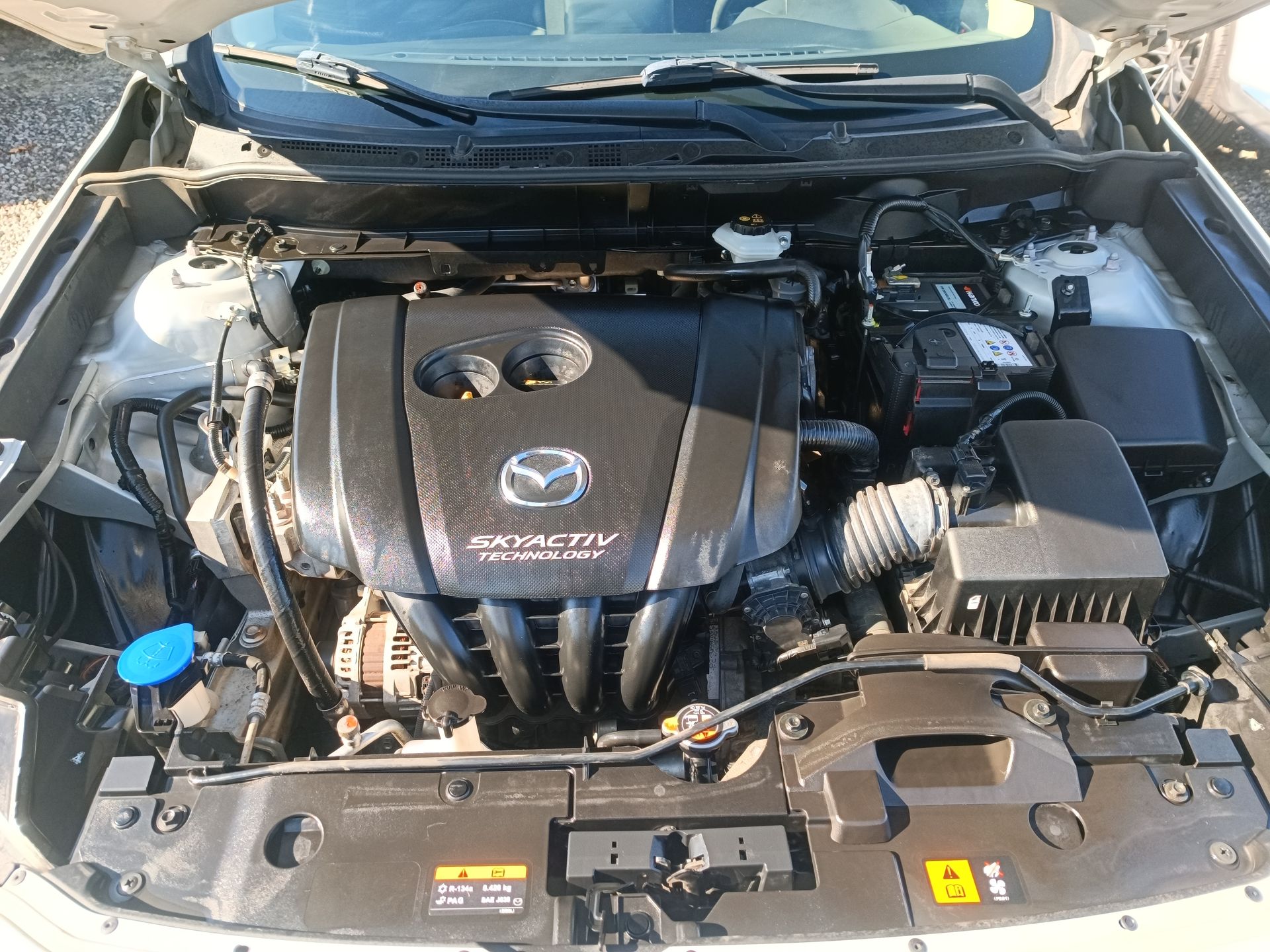 MAZDA - 31