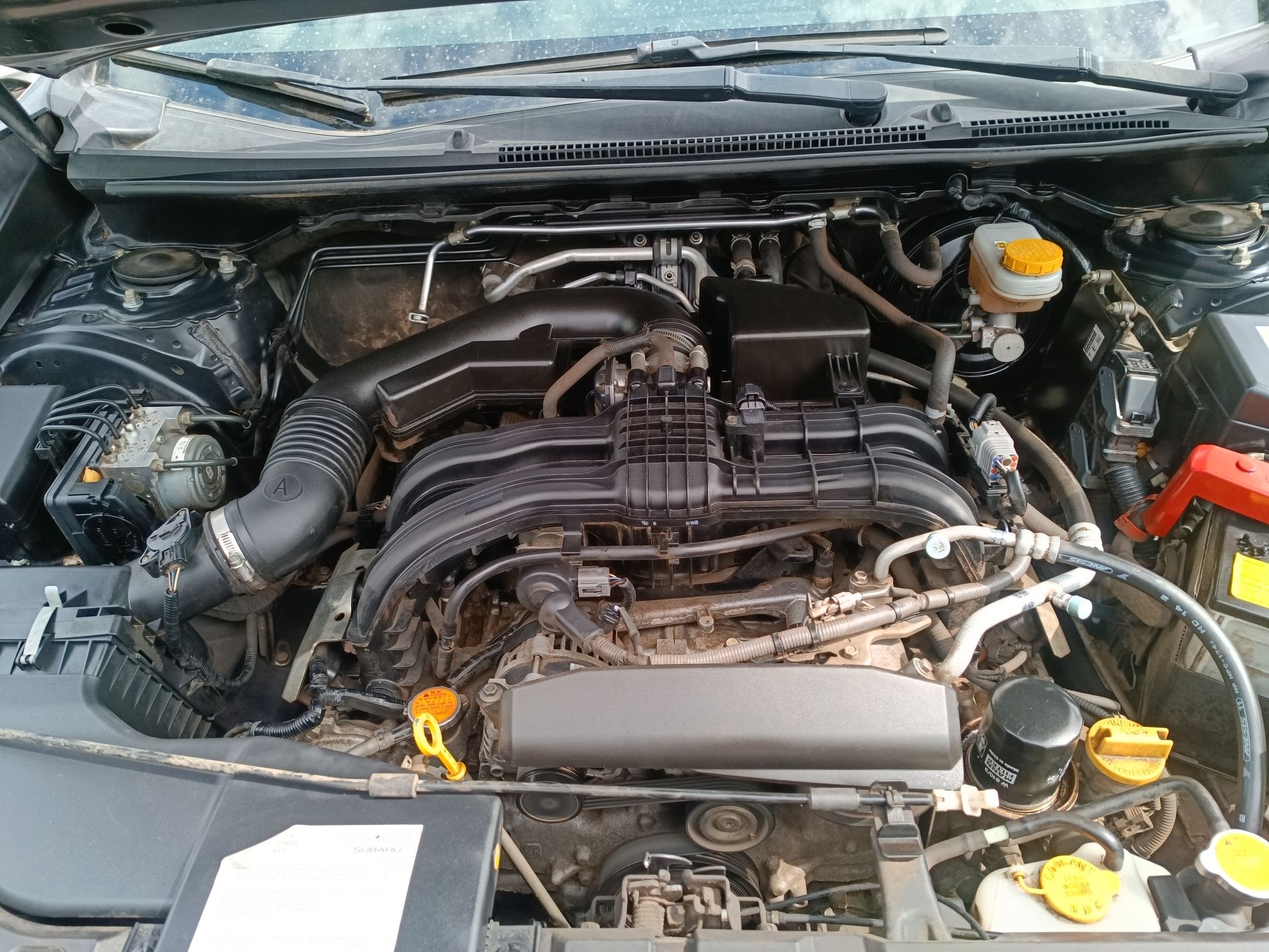 SUBARU - 31