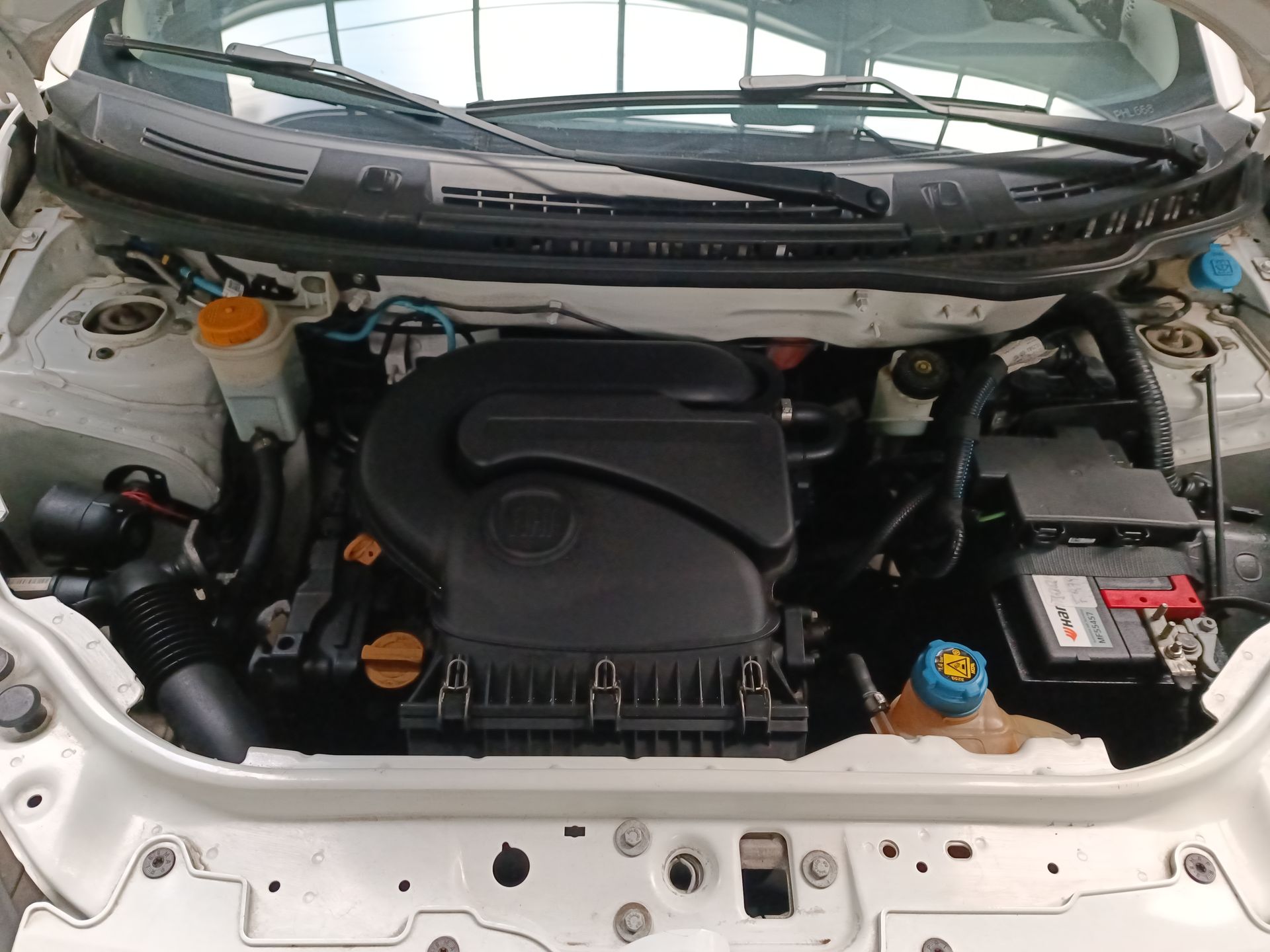 FIAT - 31