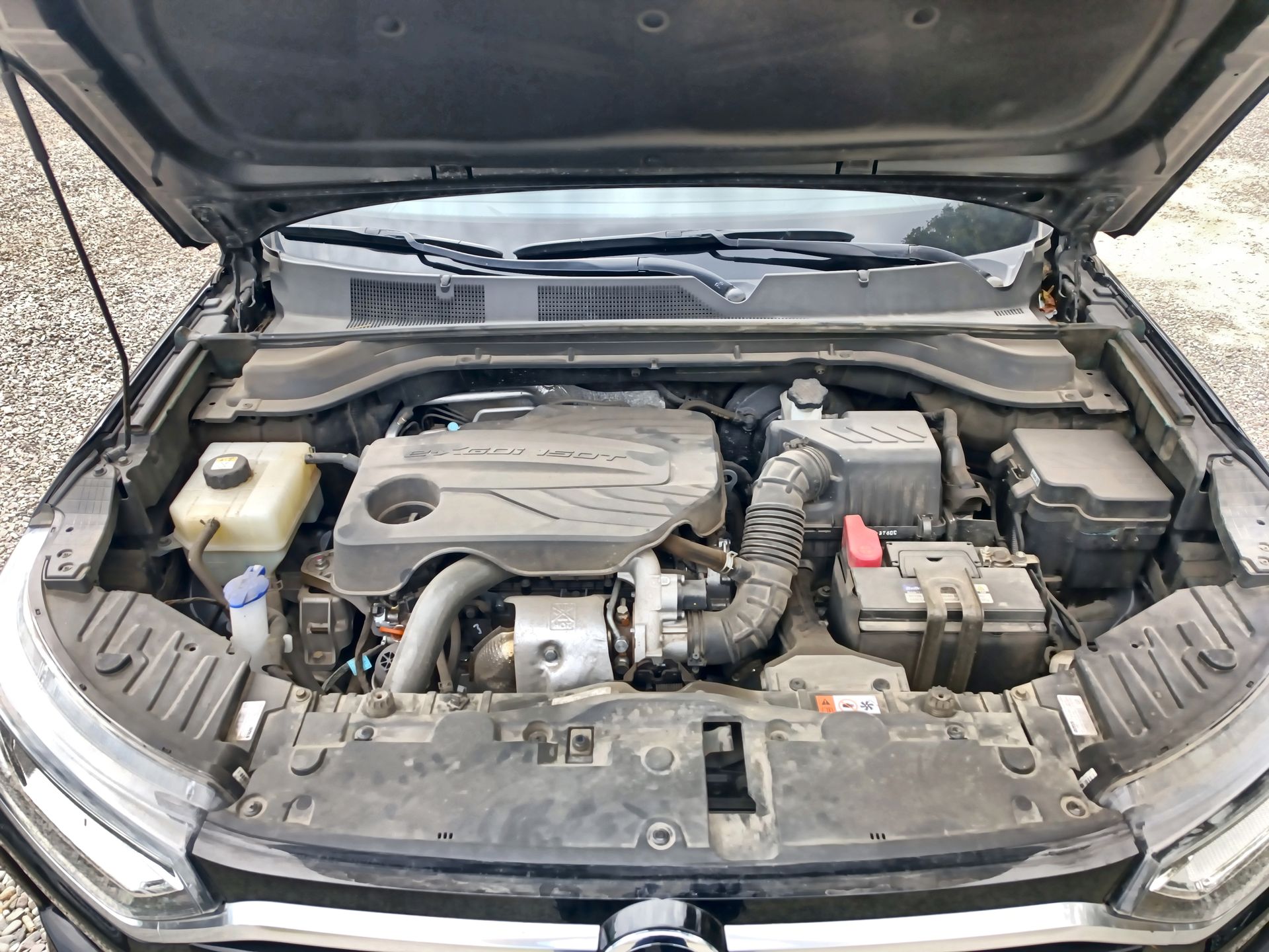SSANGYONG - 31