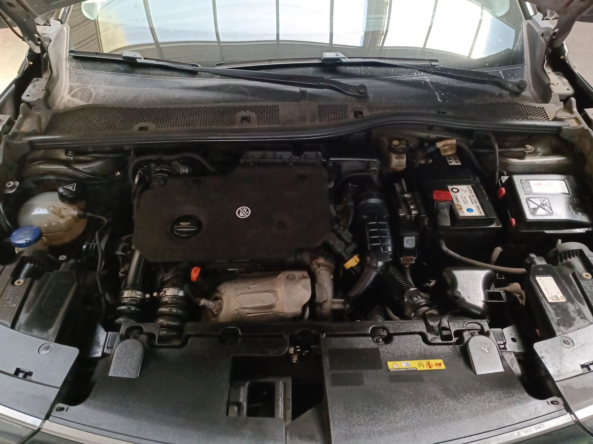OPEL - 31