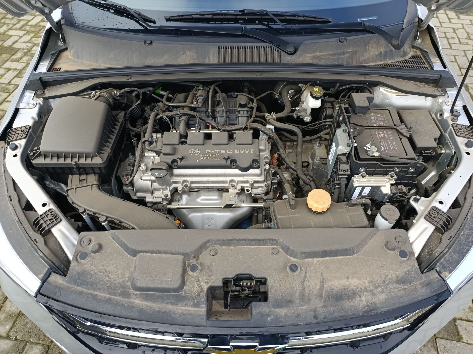 CHEVROLET - 31