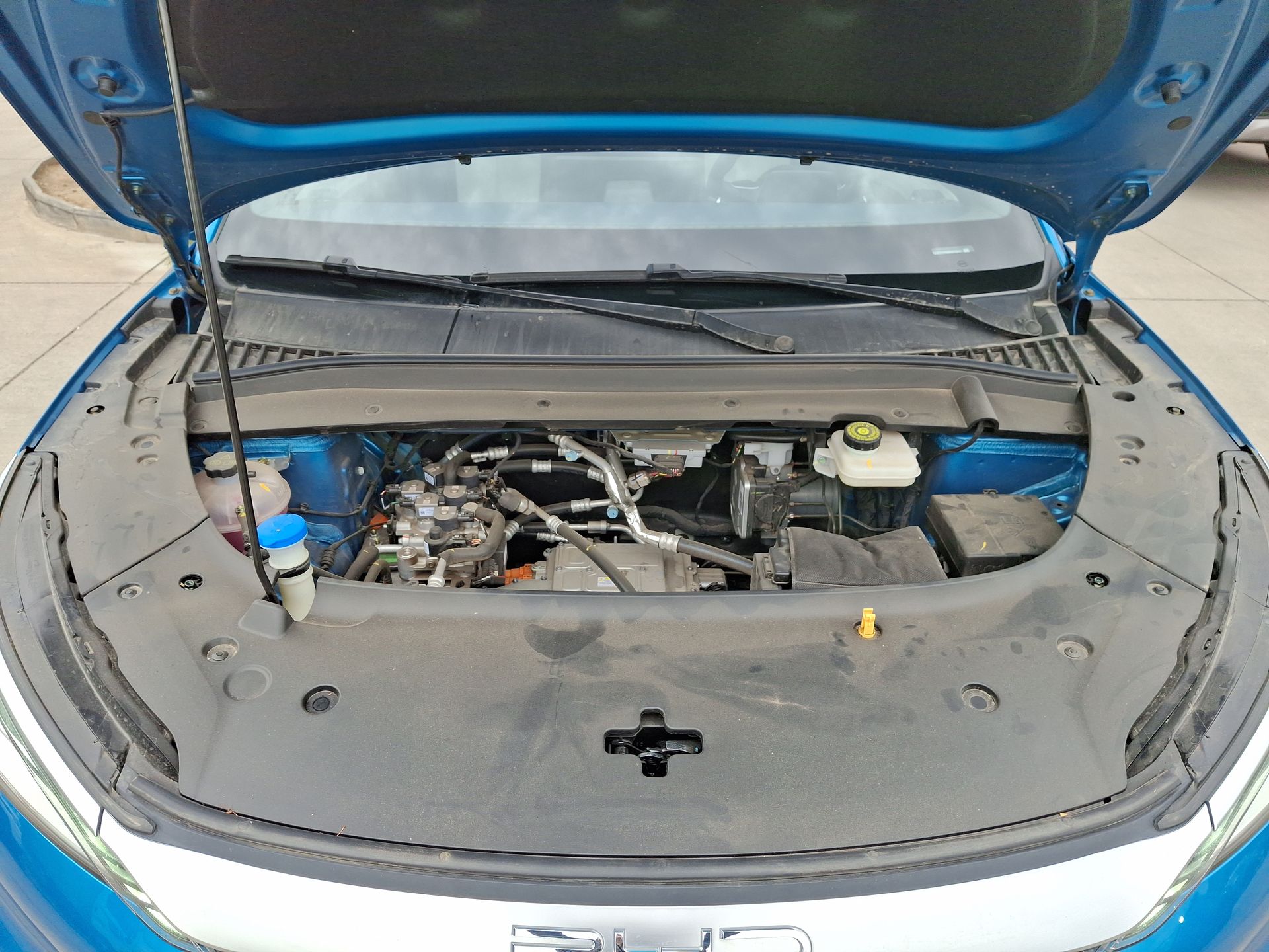 BYD - 32