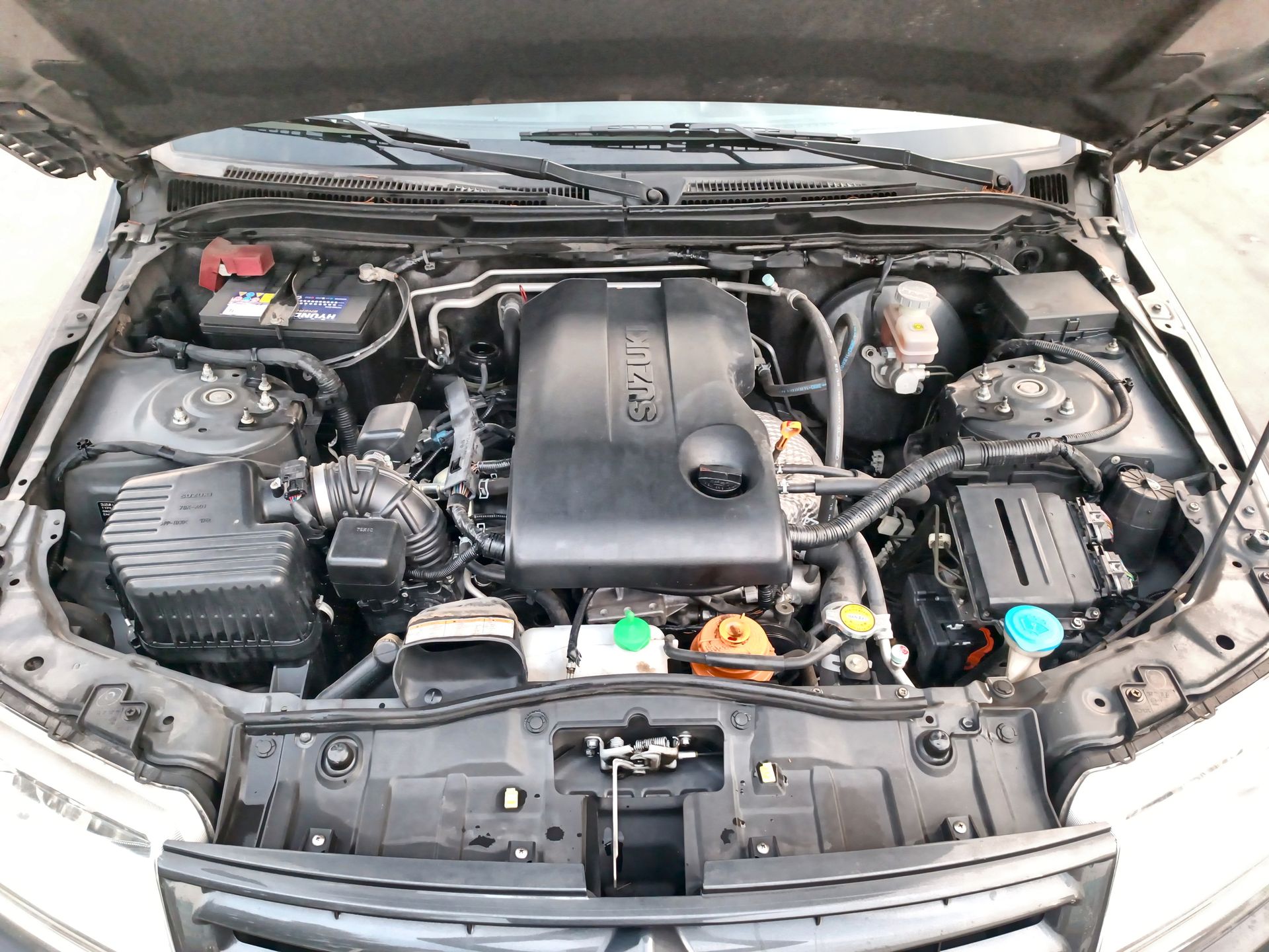 SUZUKI - 18