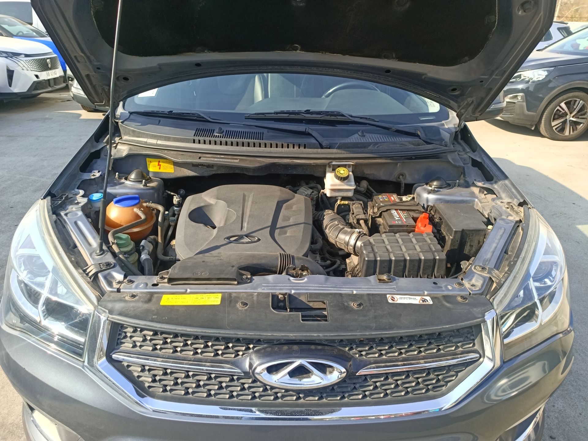 CHERY - 18