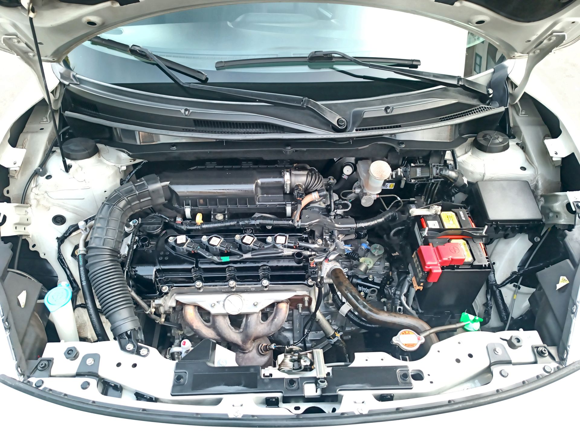 SUZUKI - 18