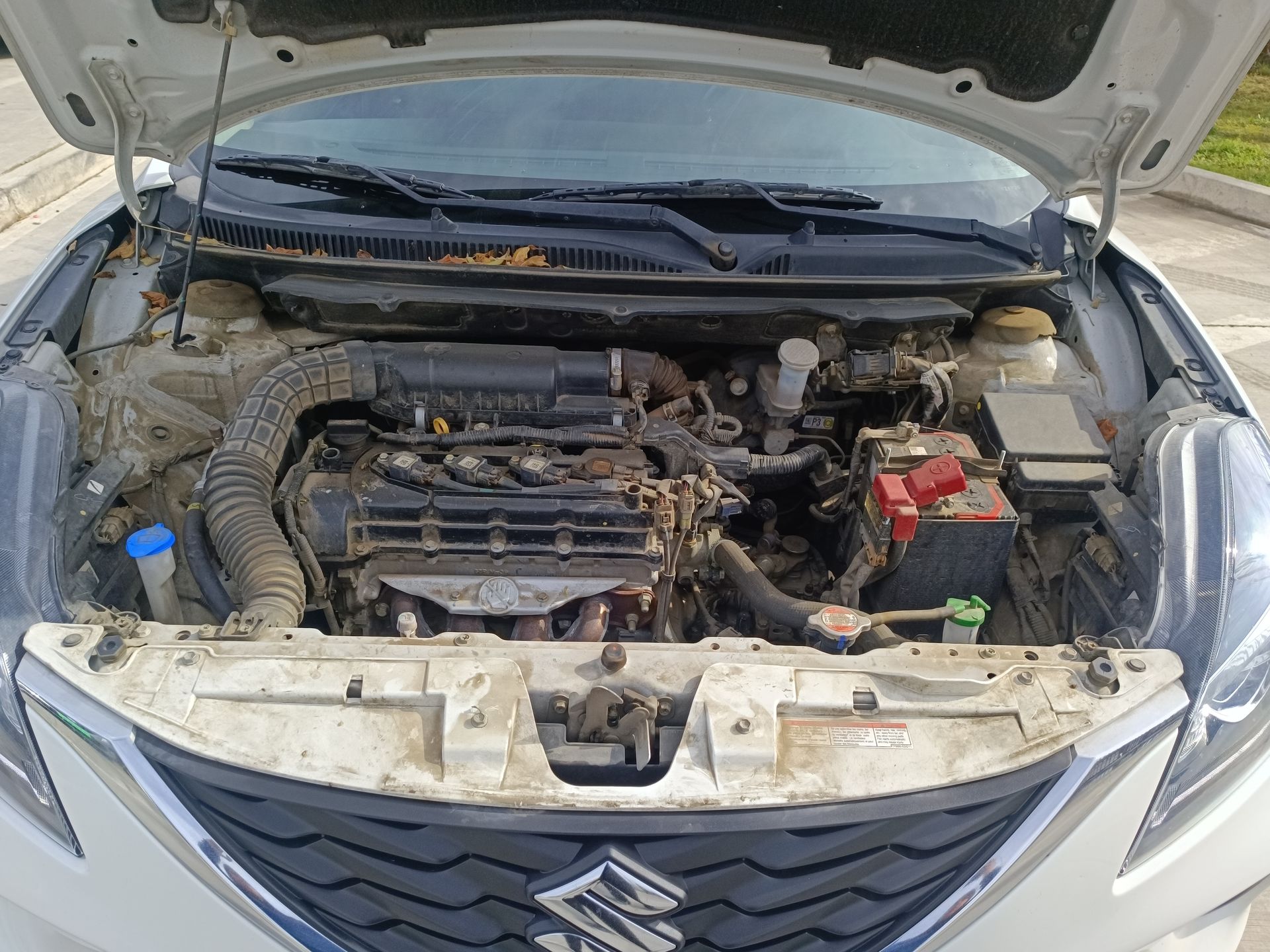 SUZUKI - 18