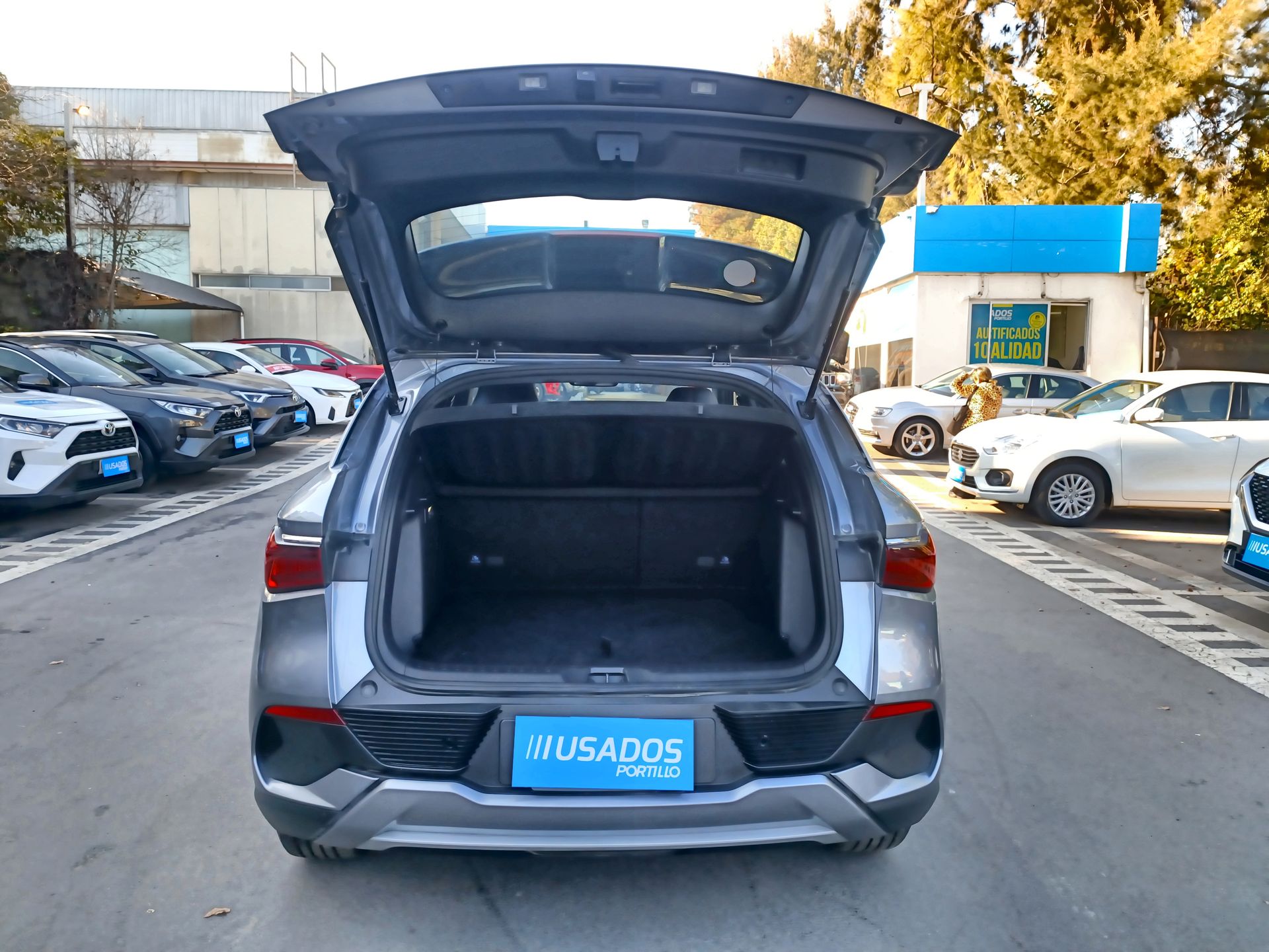 BYD - 31