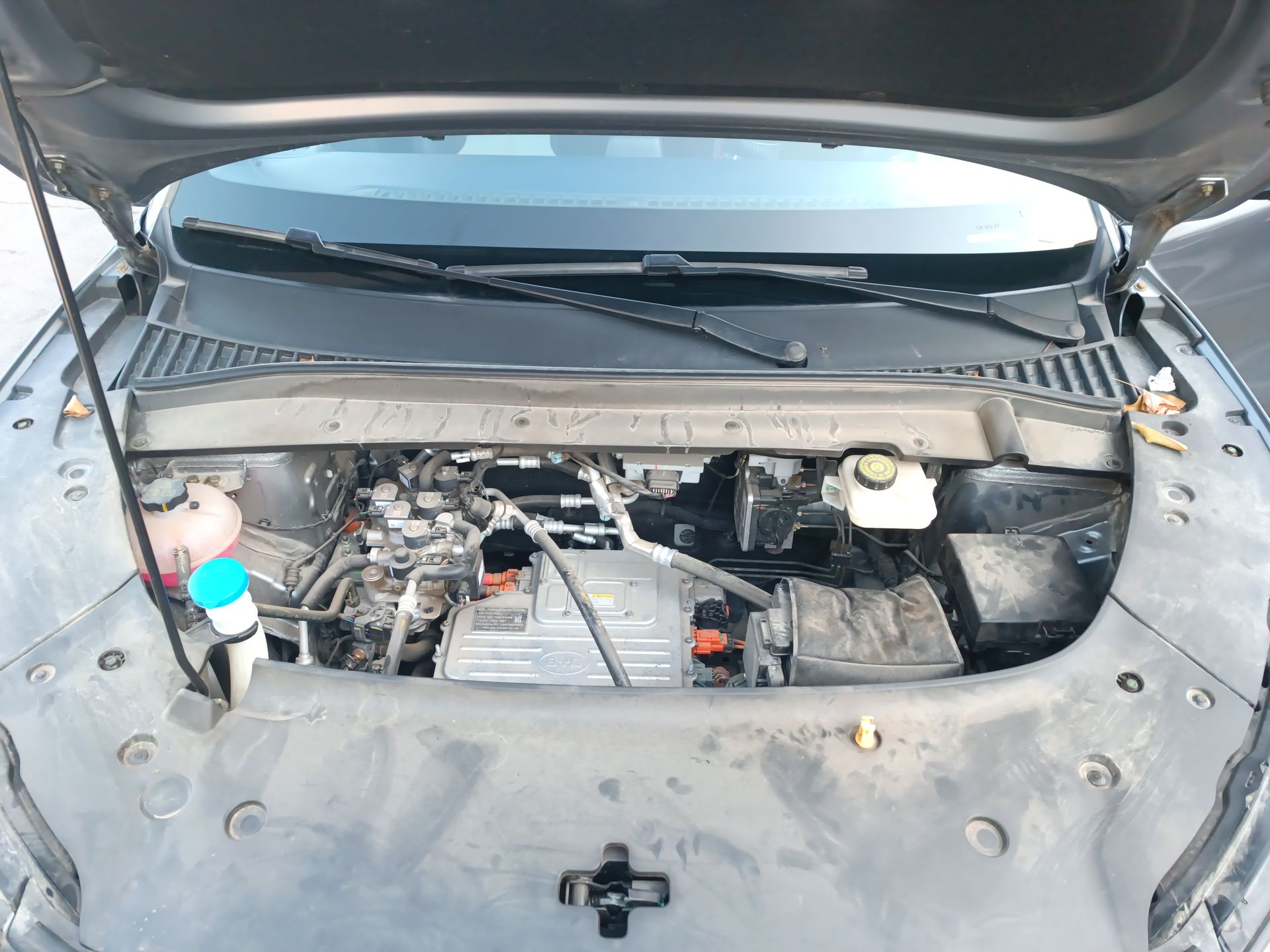 BYD - 18