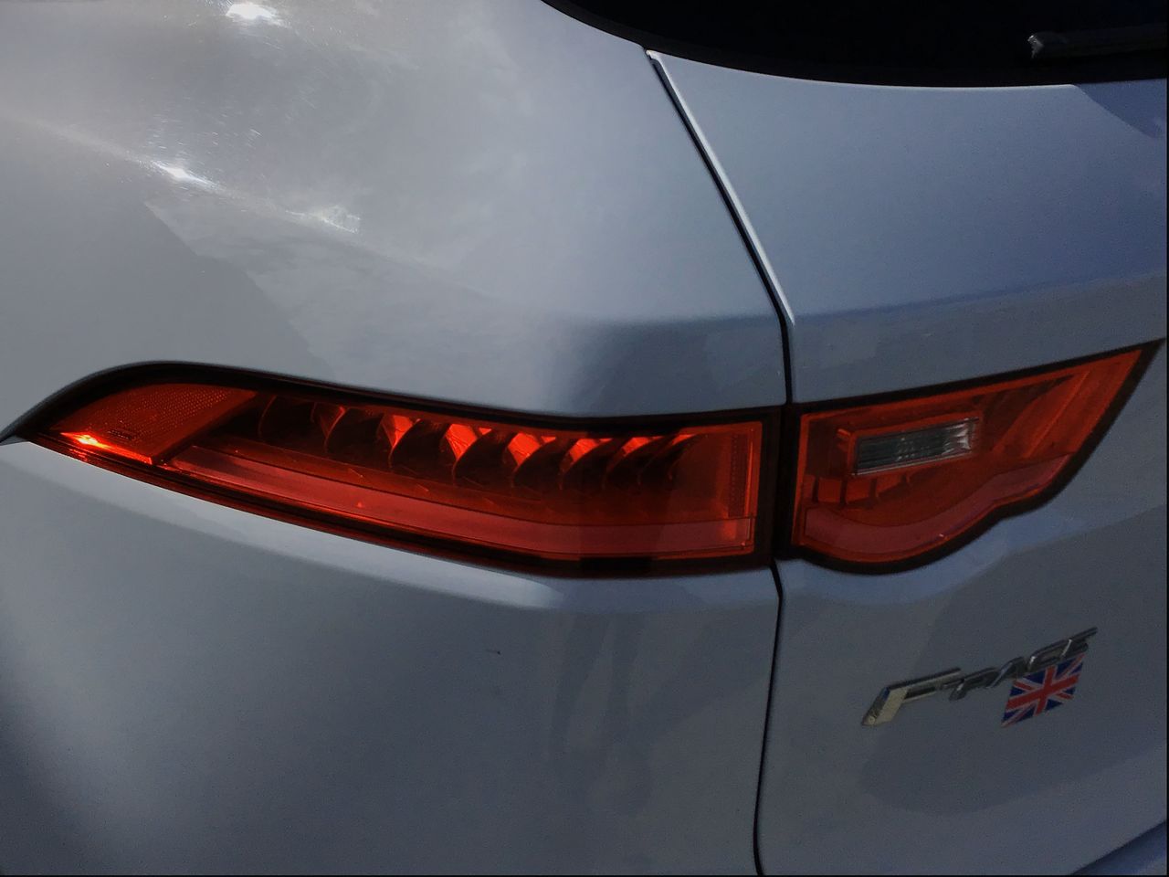JAGUAR - 20