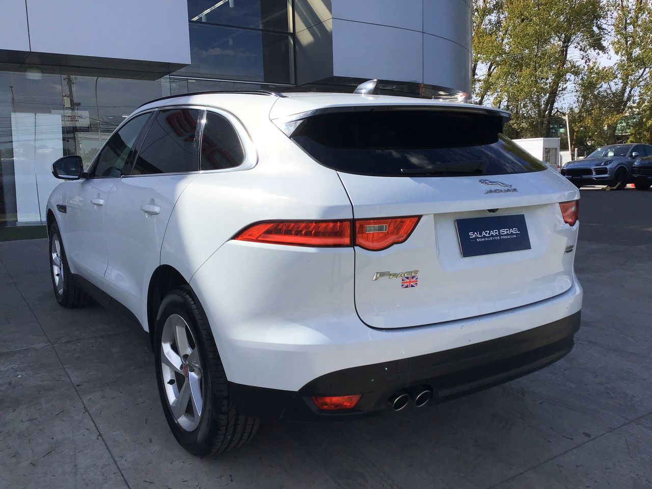 JAGUAR - 6