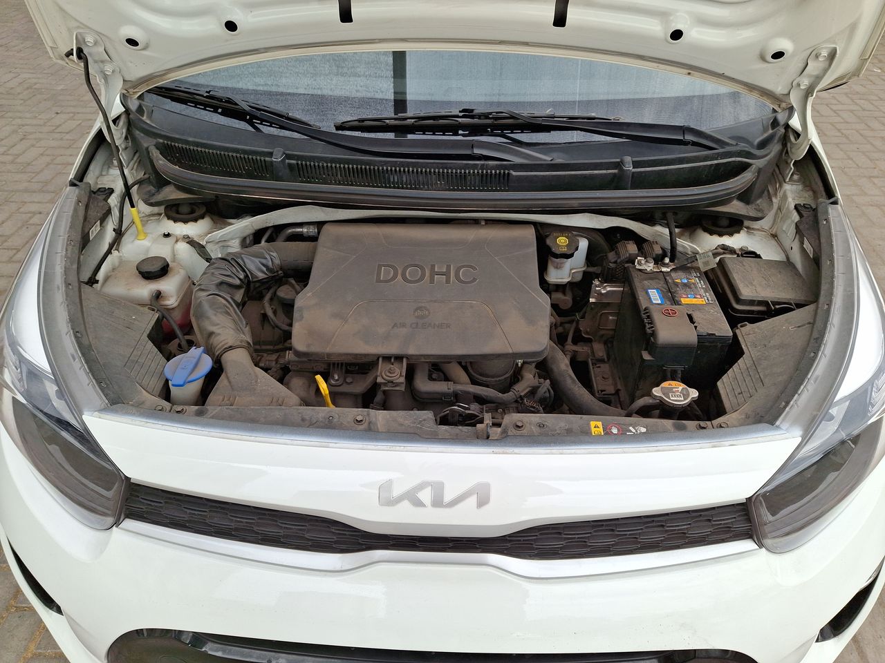 KIA - 18