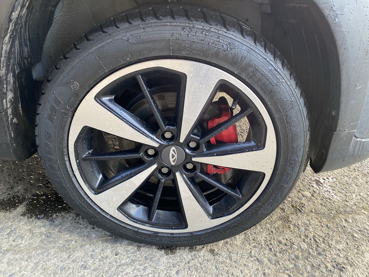 CHERY - 17