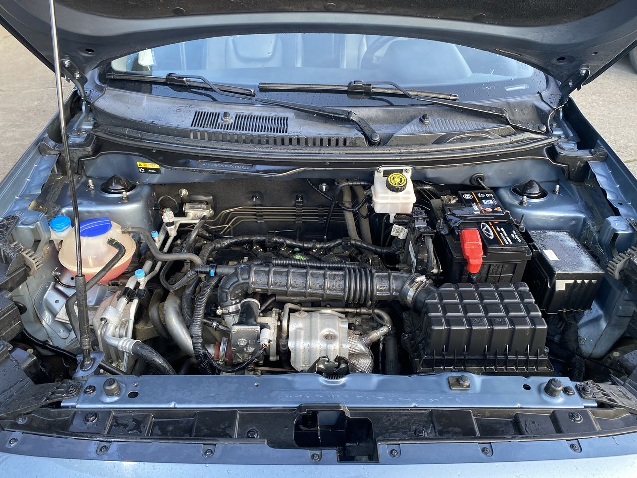 CHERY - 18