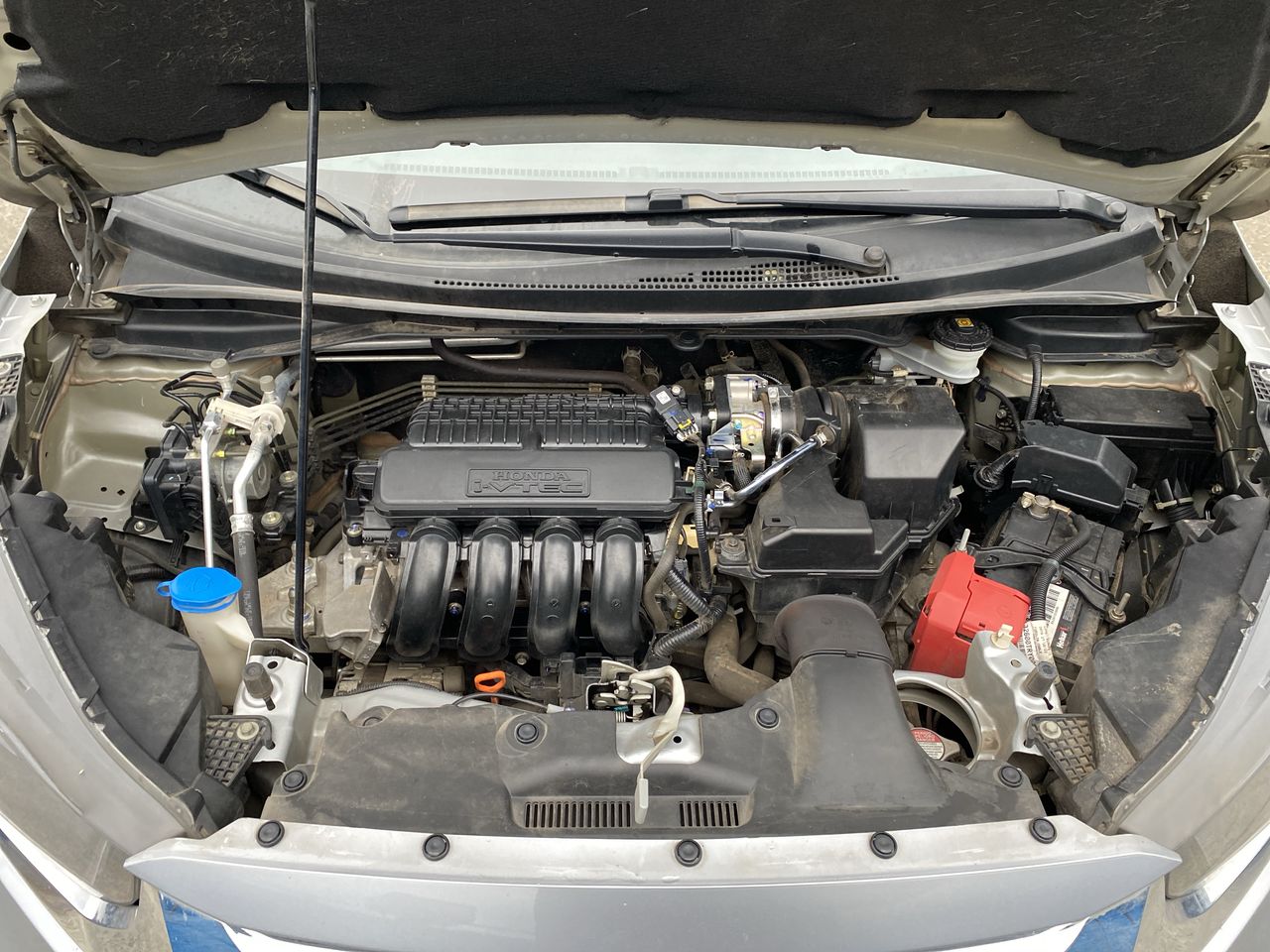 HONDA - 17