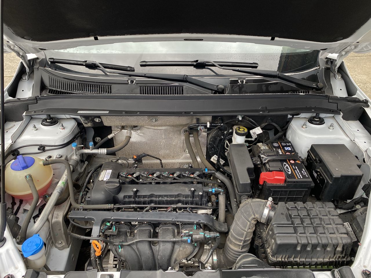 CHERY - 18