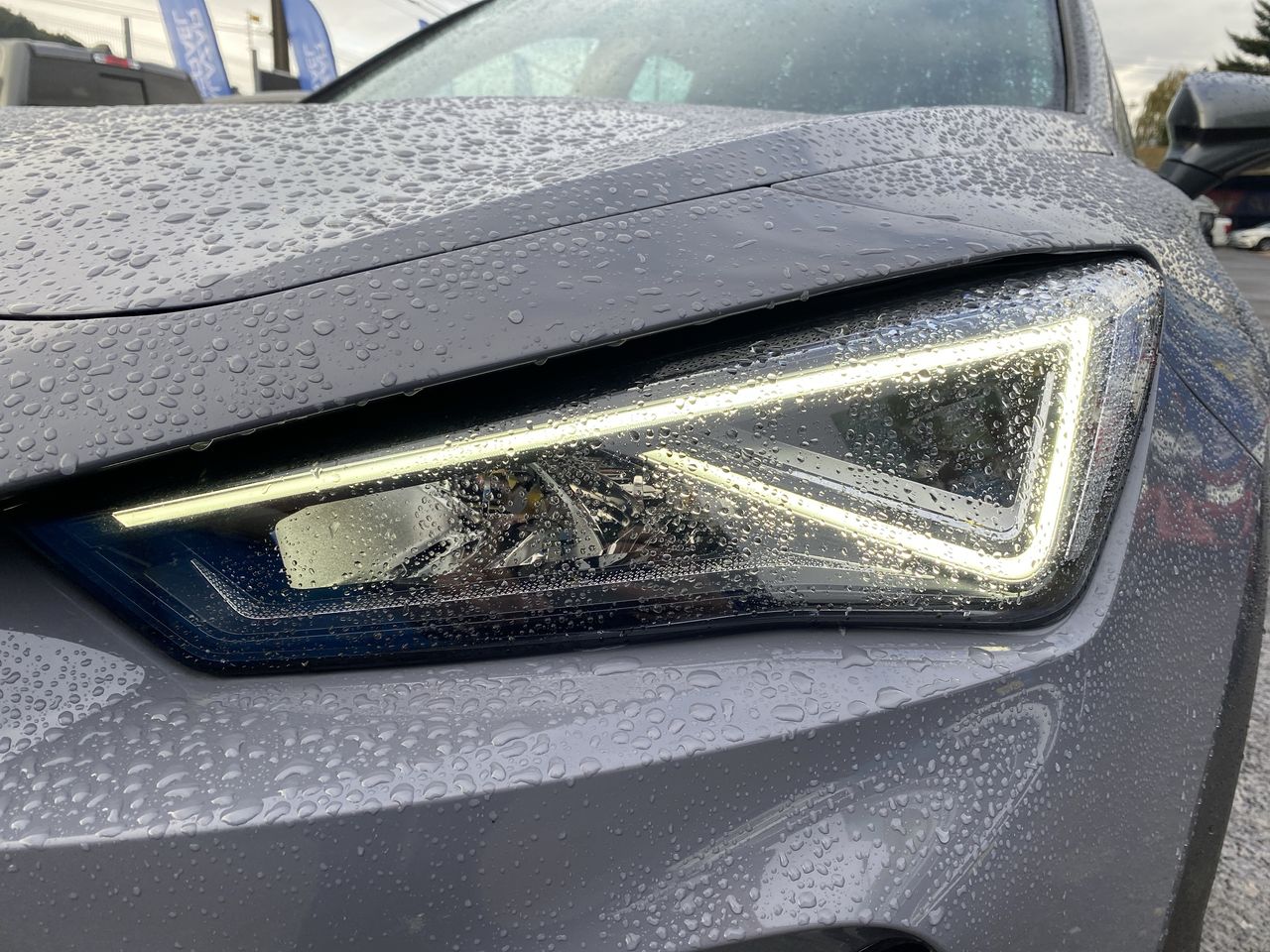 CUPRA - 19