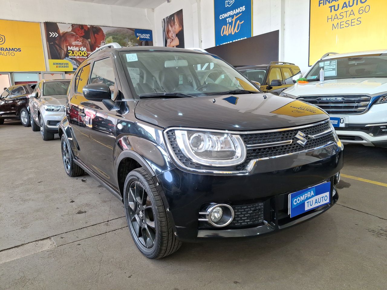 SUZUKI - 1