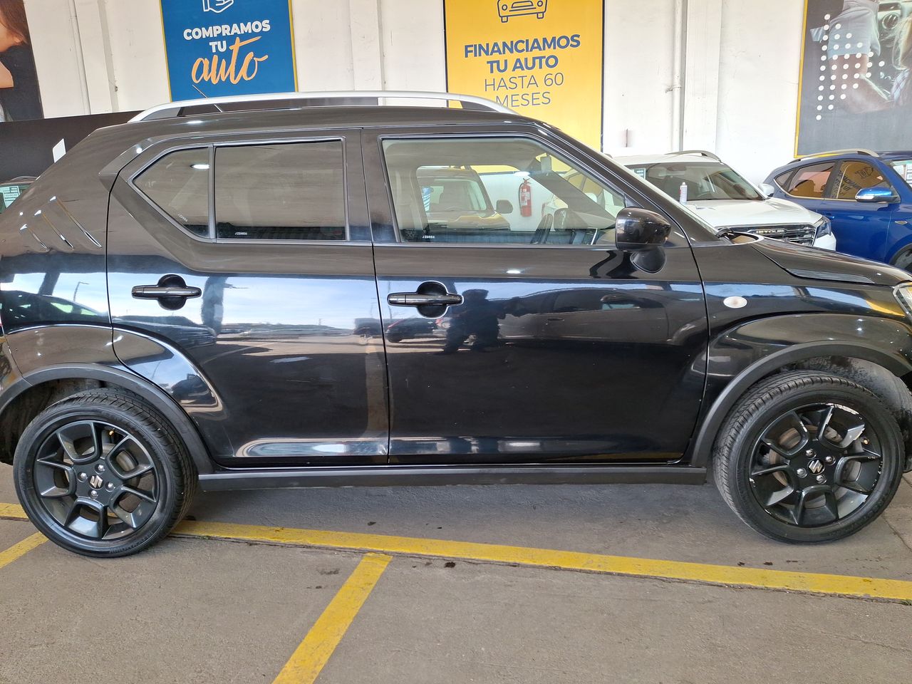 SUZUKI - 8