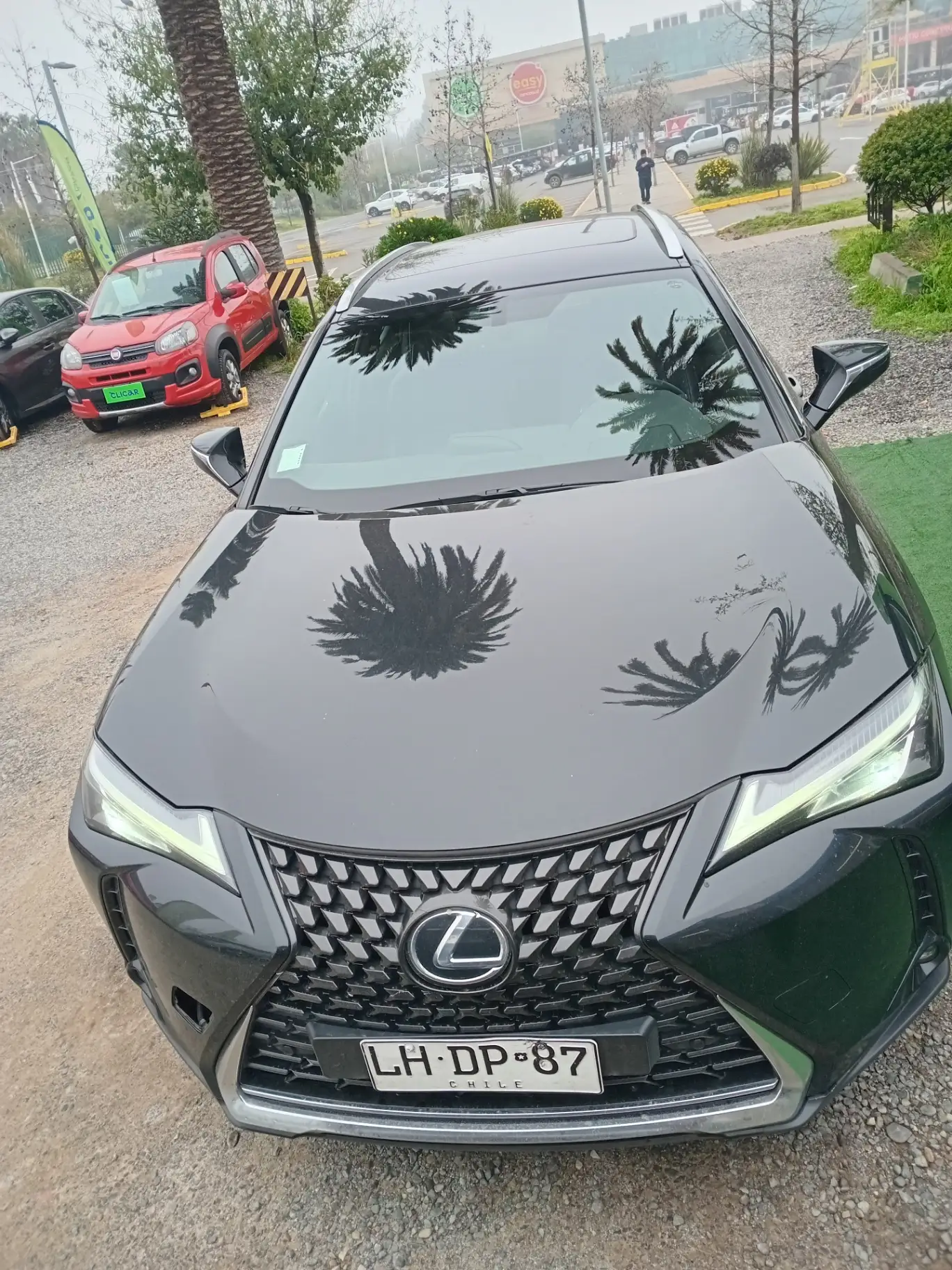 LEXUS - 1