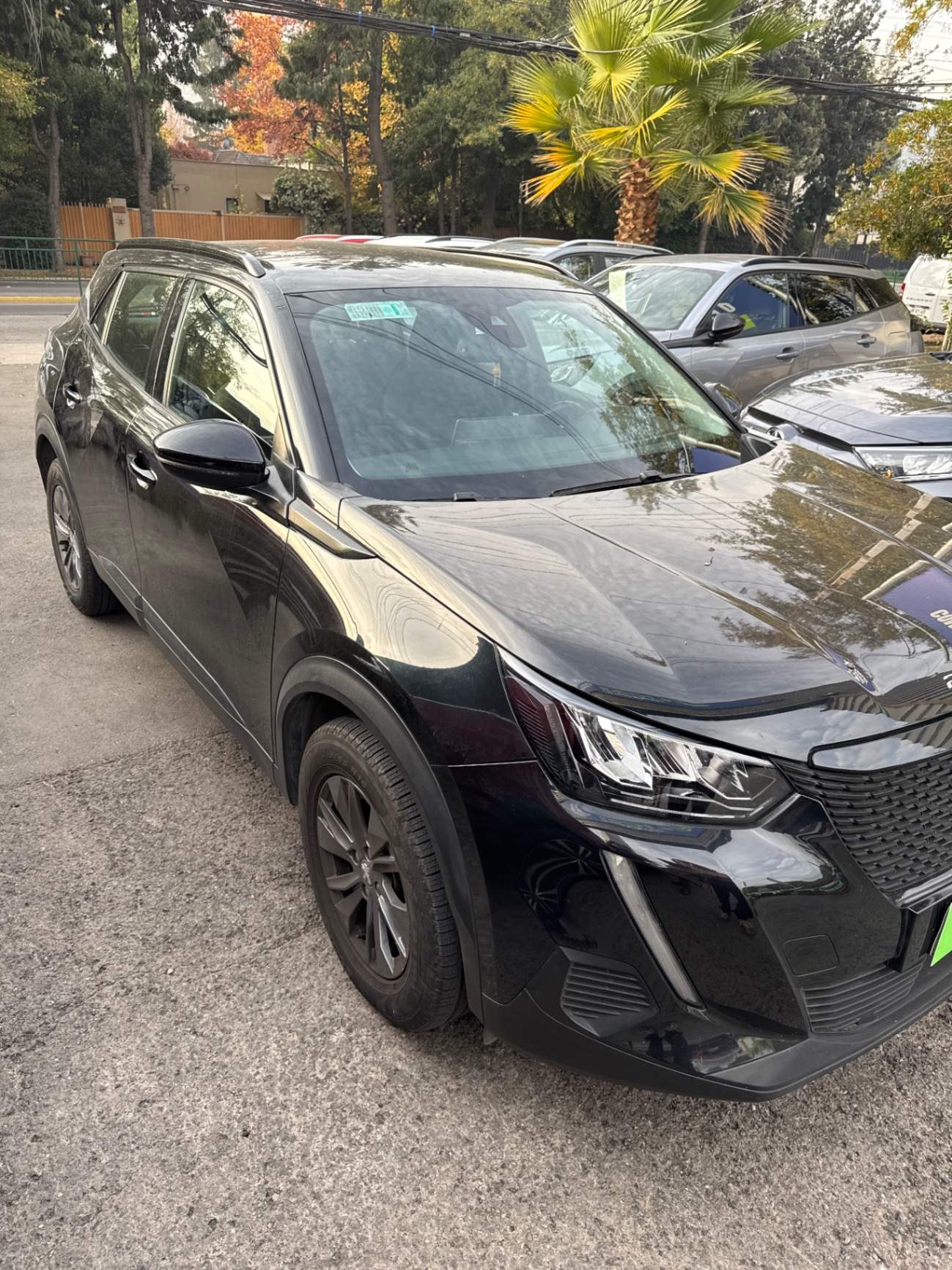 PEUGEOT
