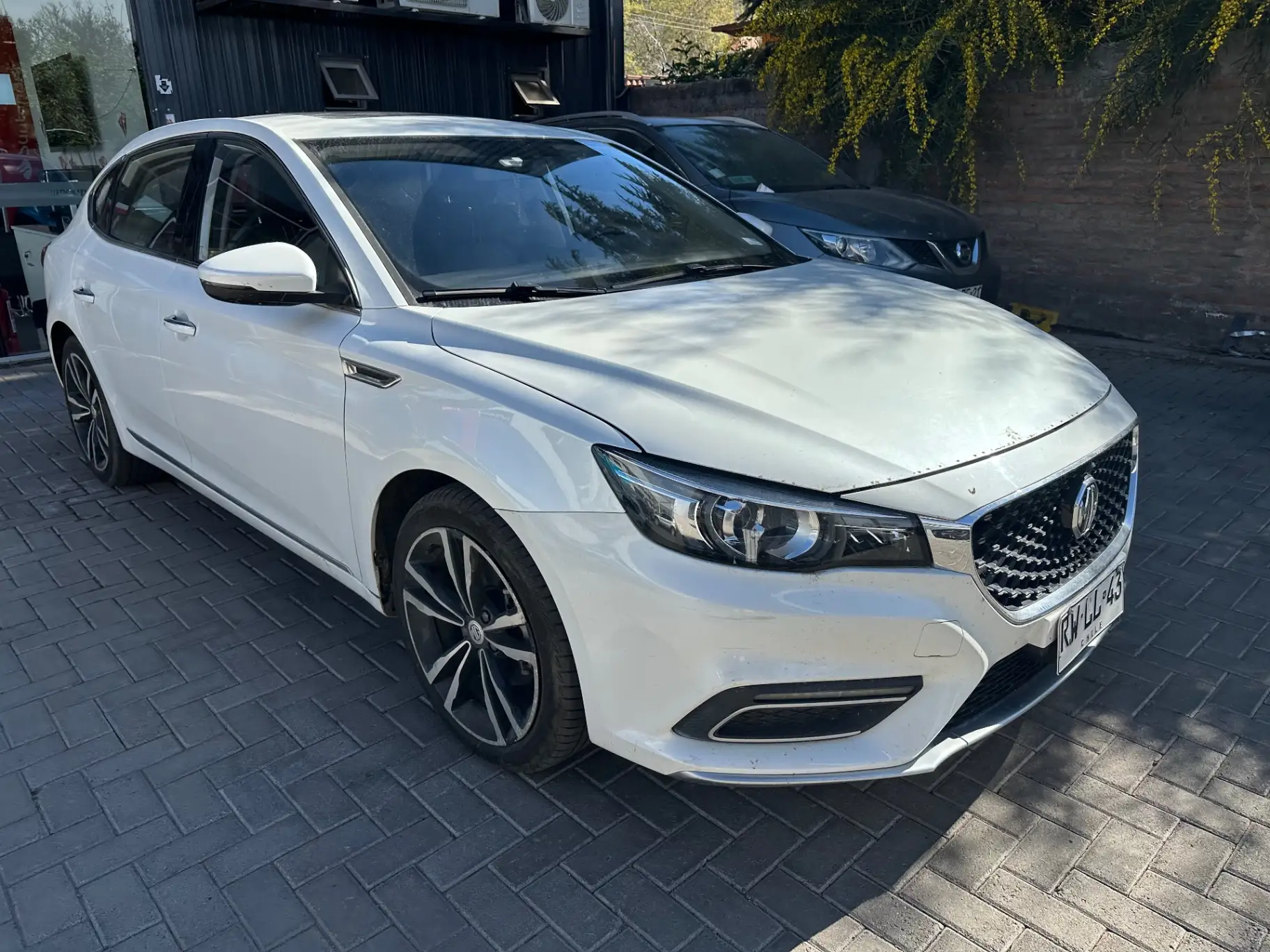 MG