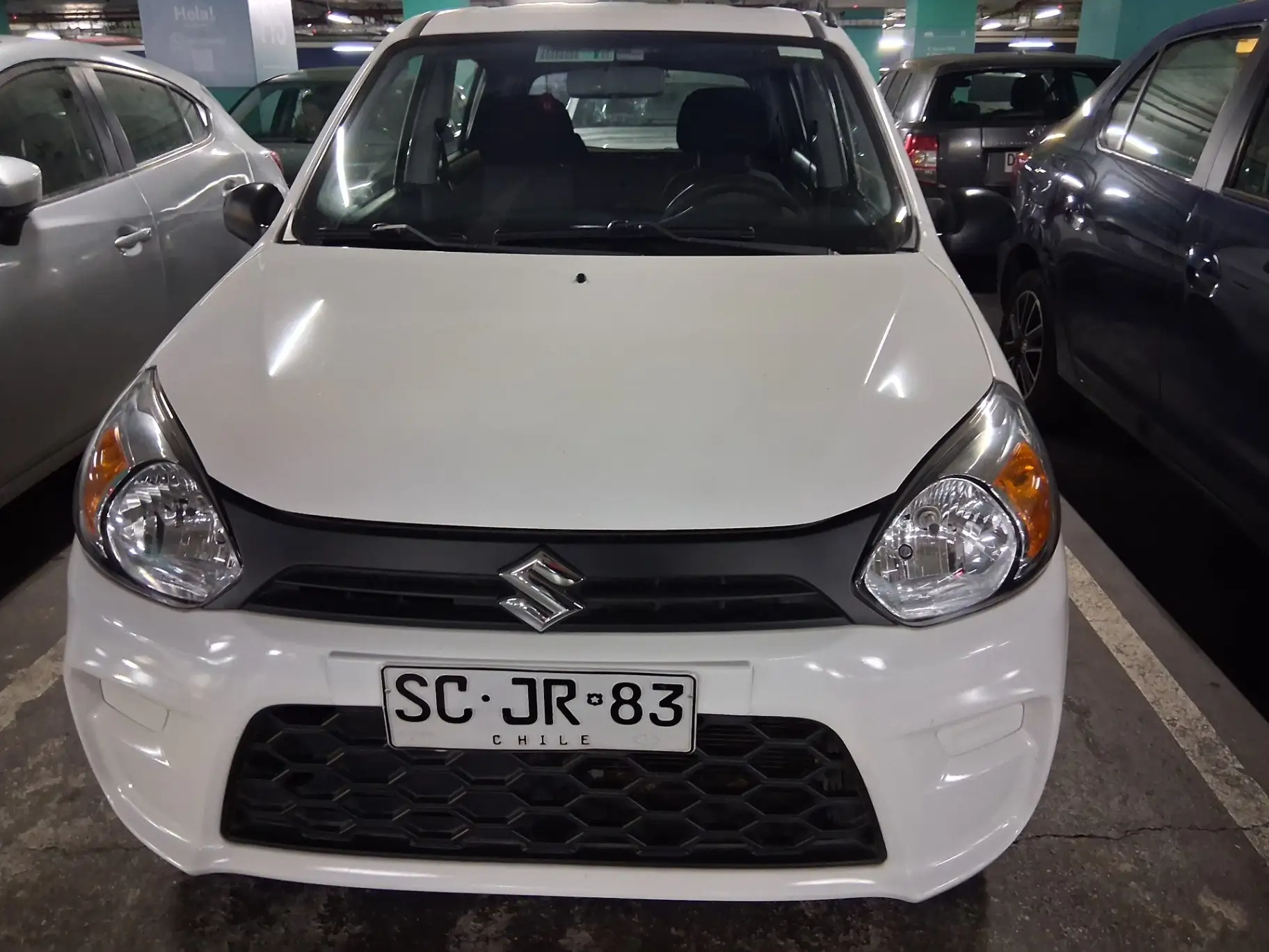 SUZUKI - 1