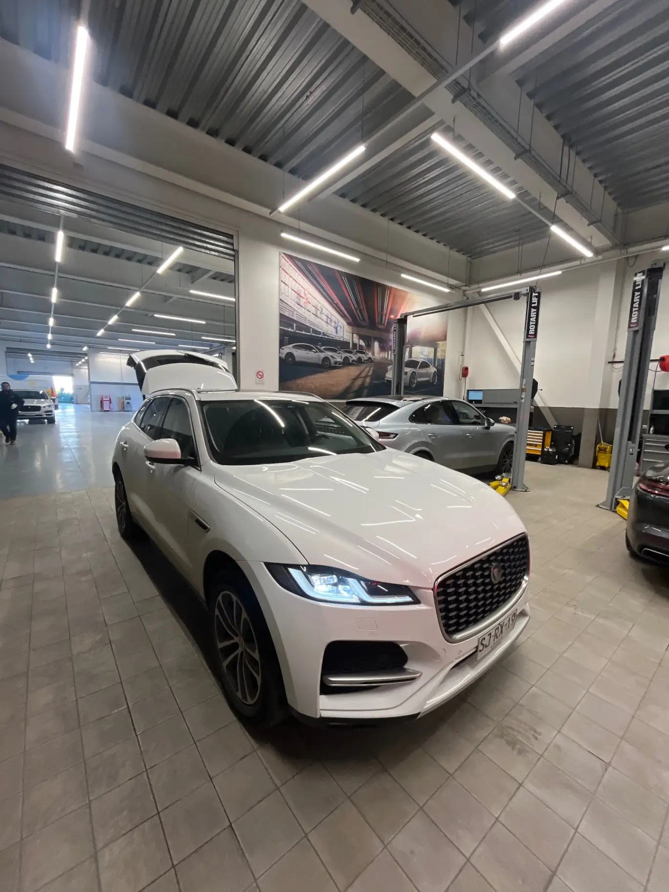 JAGUAR