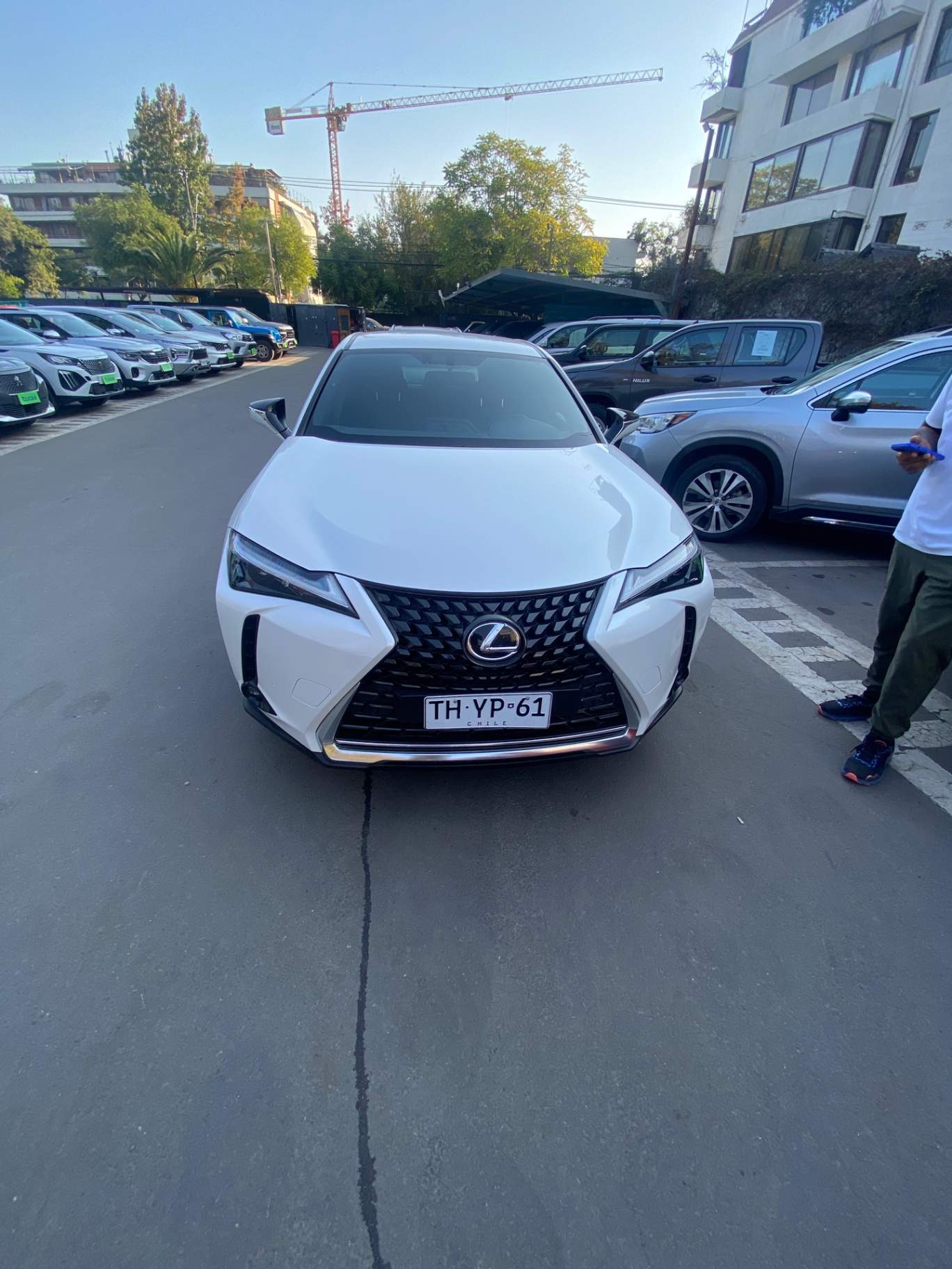 LEXUS - 1