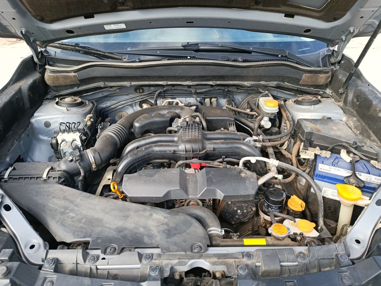 SUBARU - 18