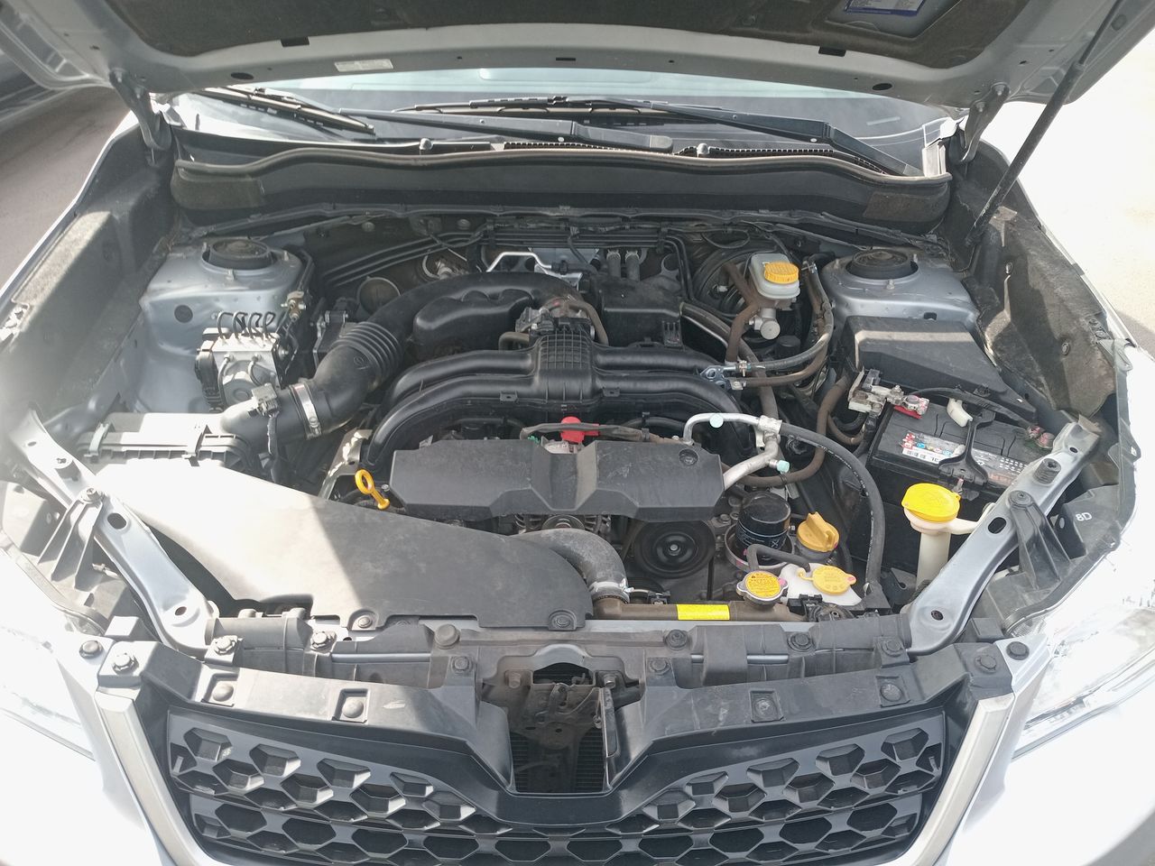 SUBARU - 8