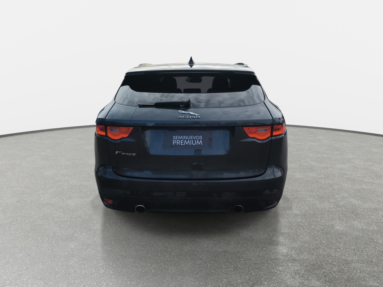 JAGUAR - 6