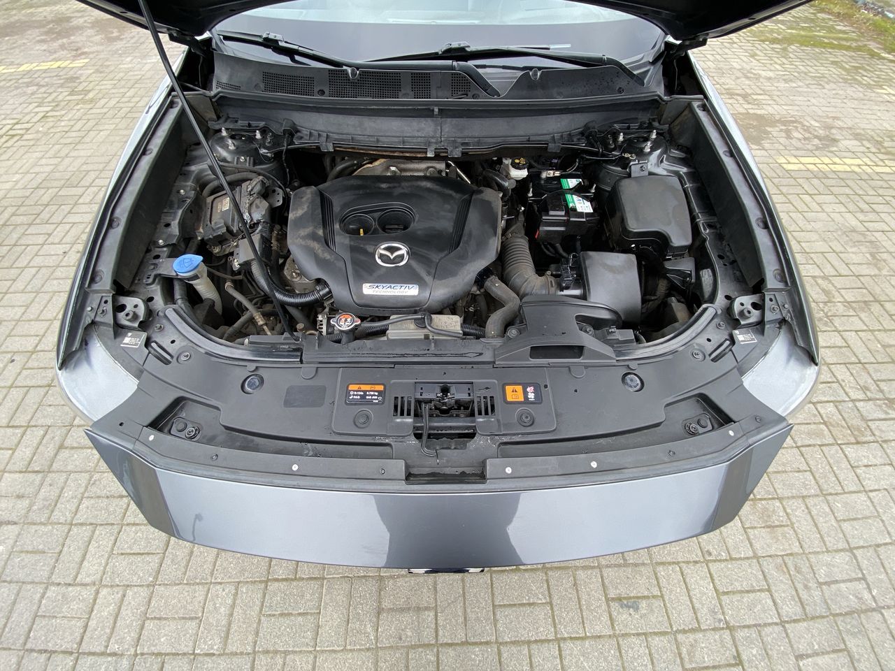 MAZDA - 10