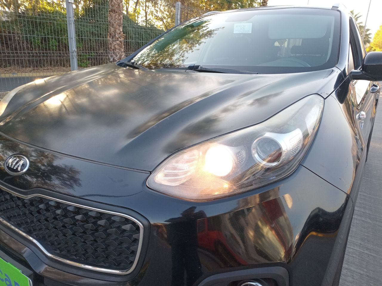 KIA - 16