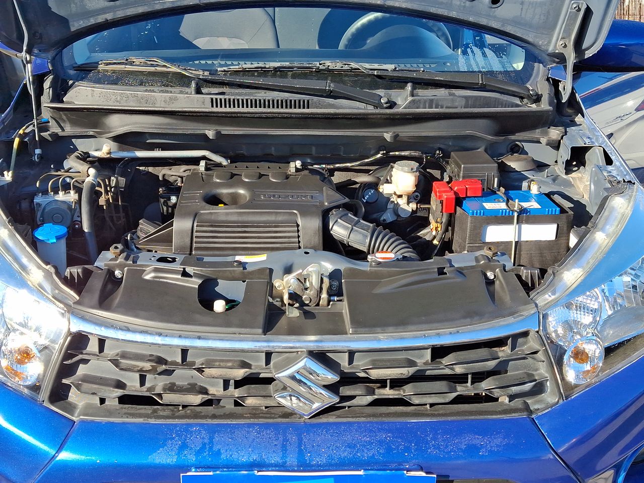 SUZUKI - 18
