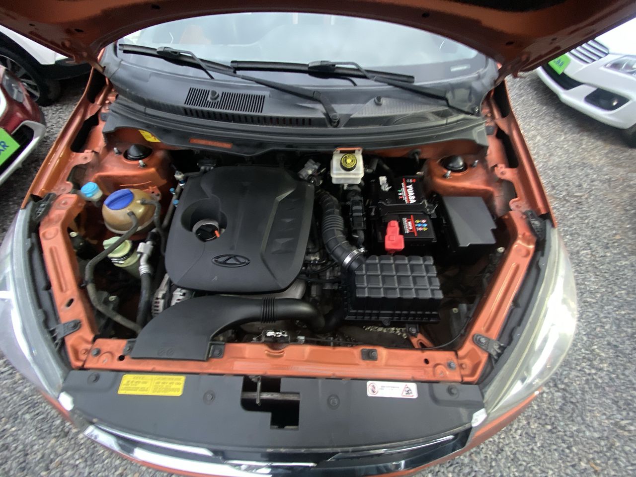 CHERY - 18