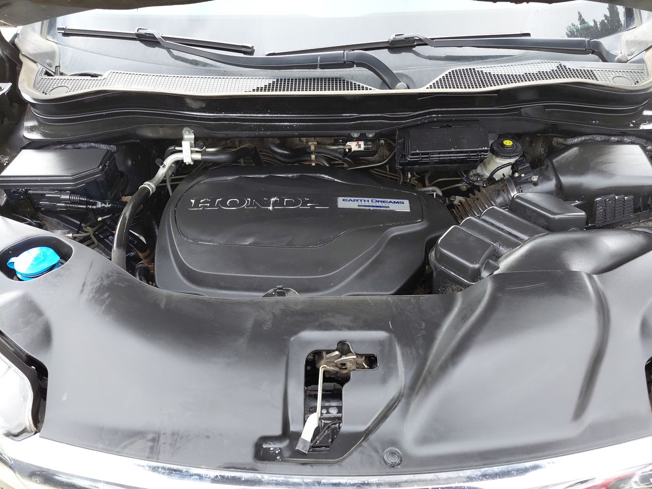HONDA - 10
