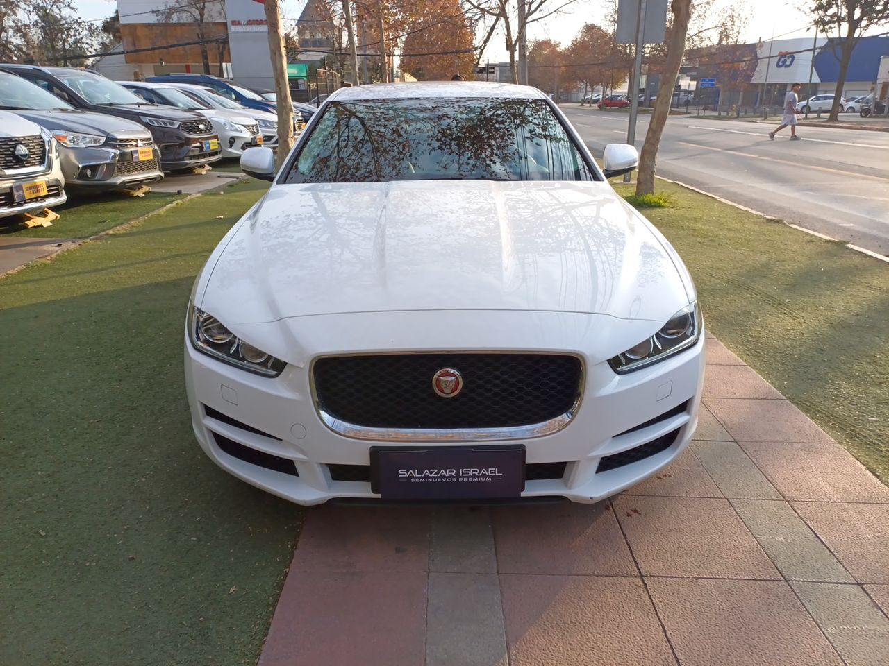 JAGUAR - 2