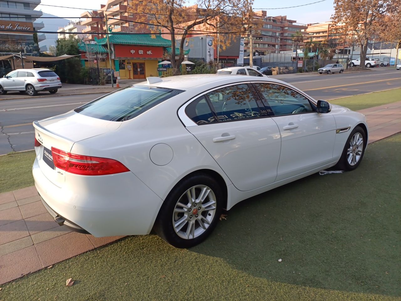 JAGUAR - 7