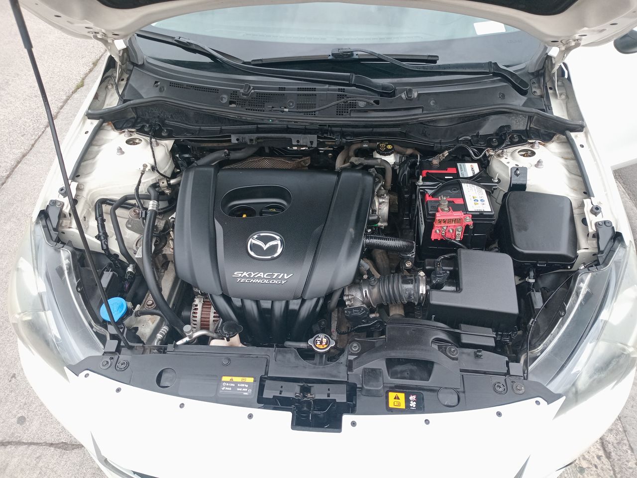 MAZDA - 8