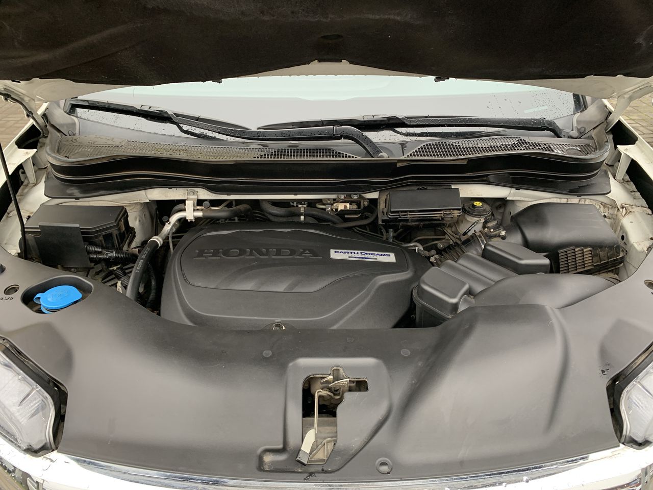 HONDA - 22