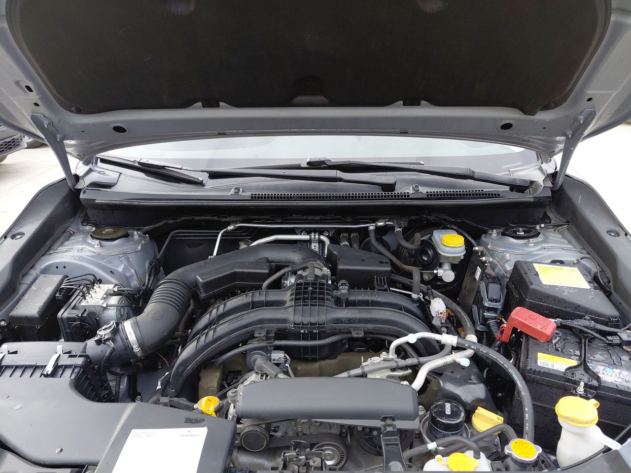 SUBARU - 18