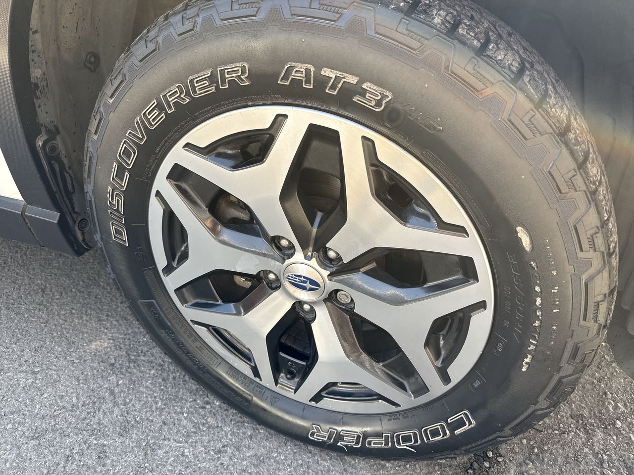 SUBARU - 17