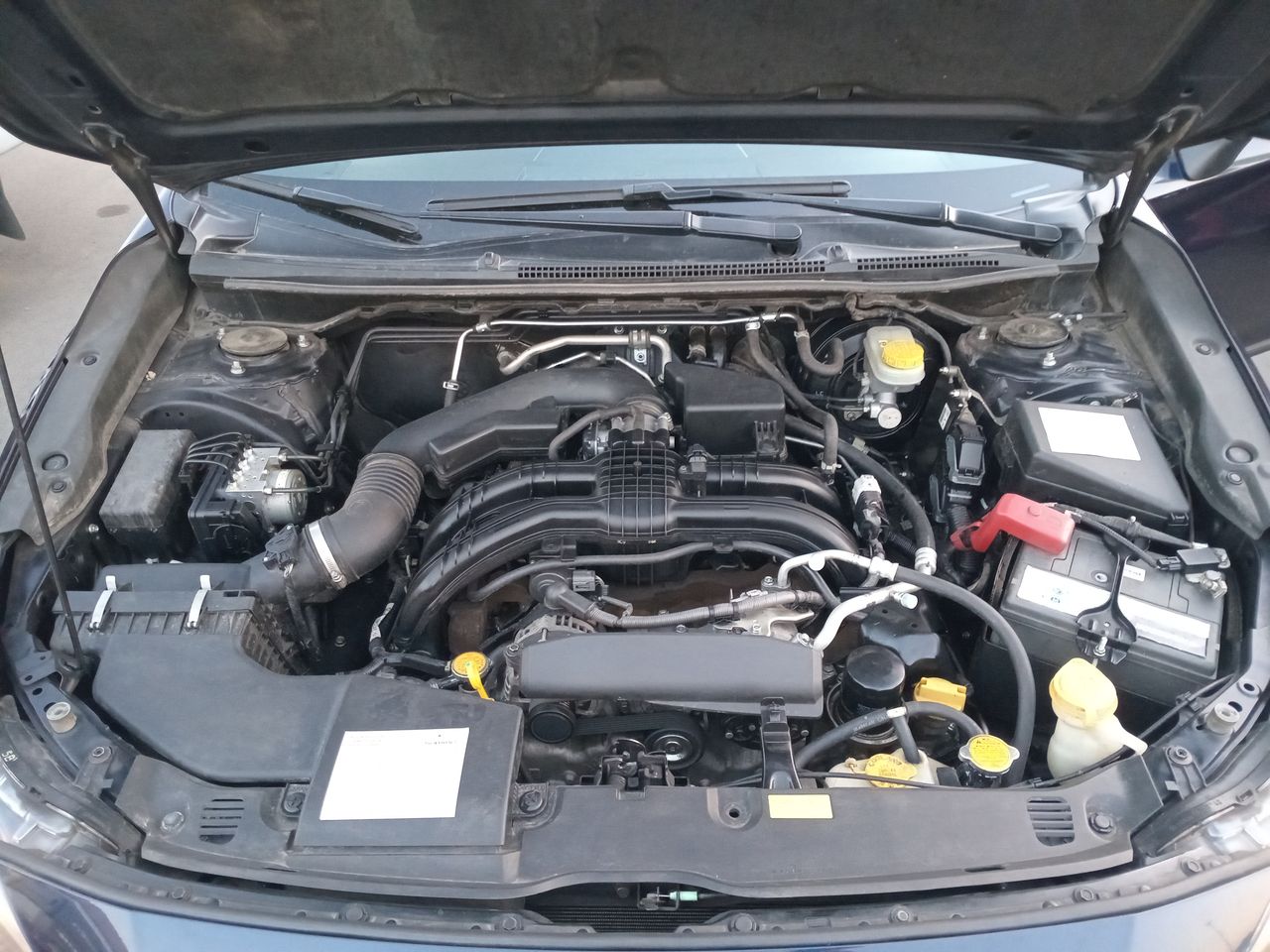 SUBARU - 16