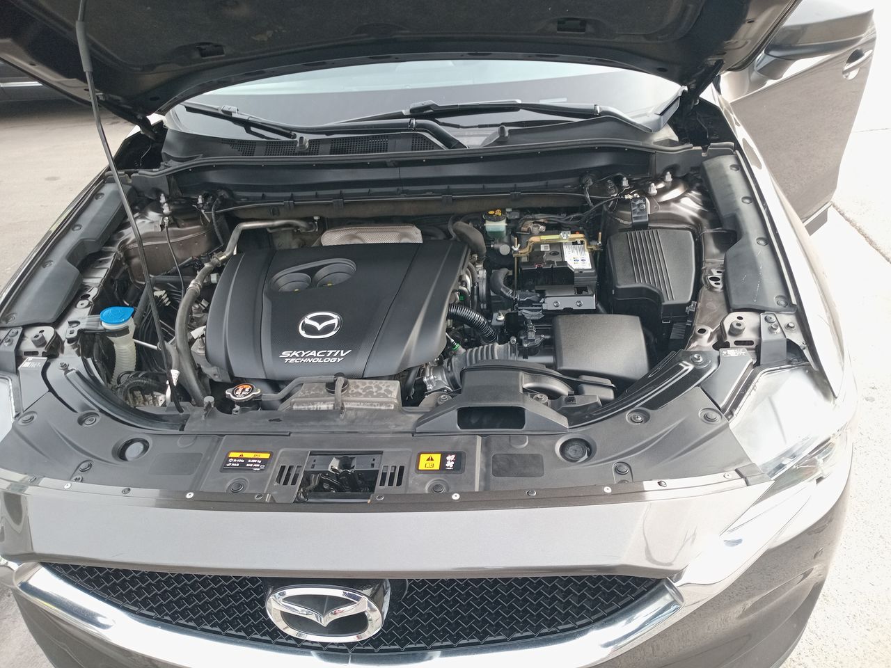 MAZDA - 8