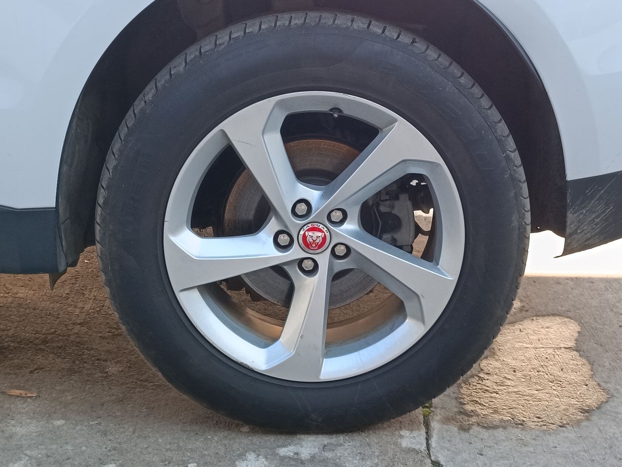 JAGUAR - 17